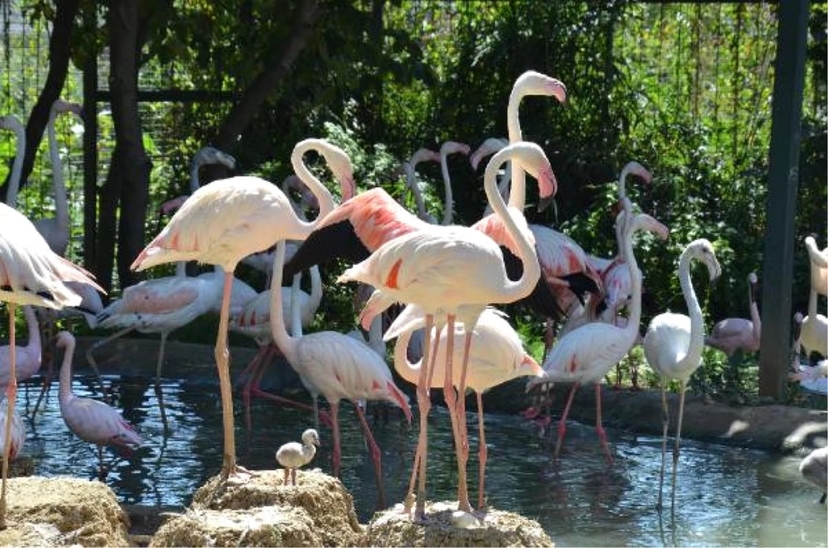 Ulink Natural Discovery Eco Package 6 Day Tours 2