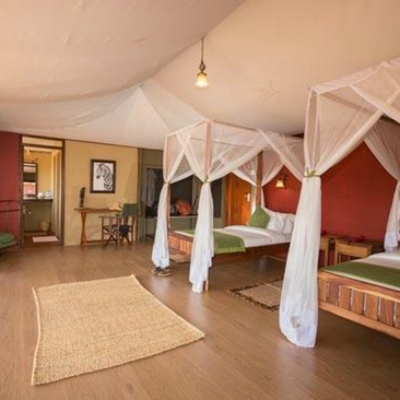 4 Days Iconic Ngorongoro Crater 4
