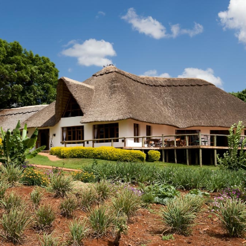 8 Day Tanzania and Kenya Safari Experience Serengeti and Masai Mara 4
