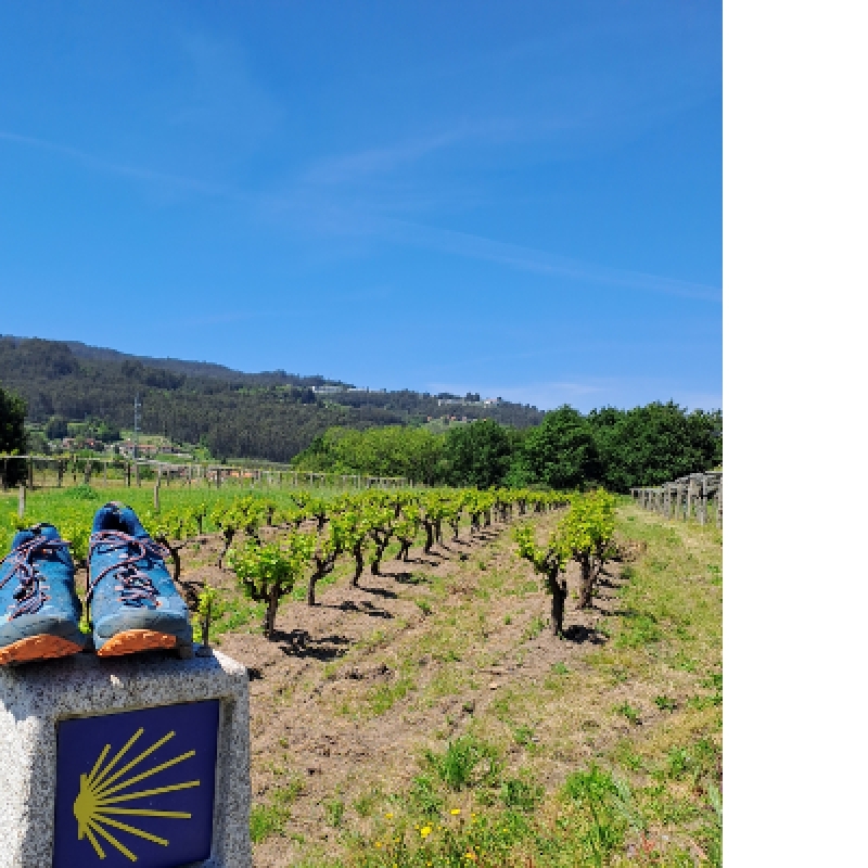 EL CAMINO DE SANTIAGO TREKKING 8 DAYS 2