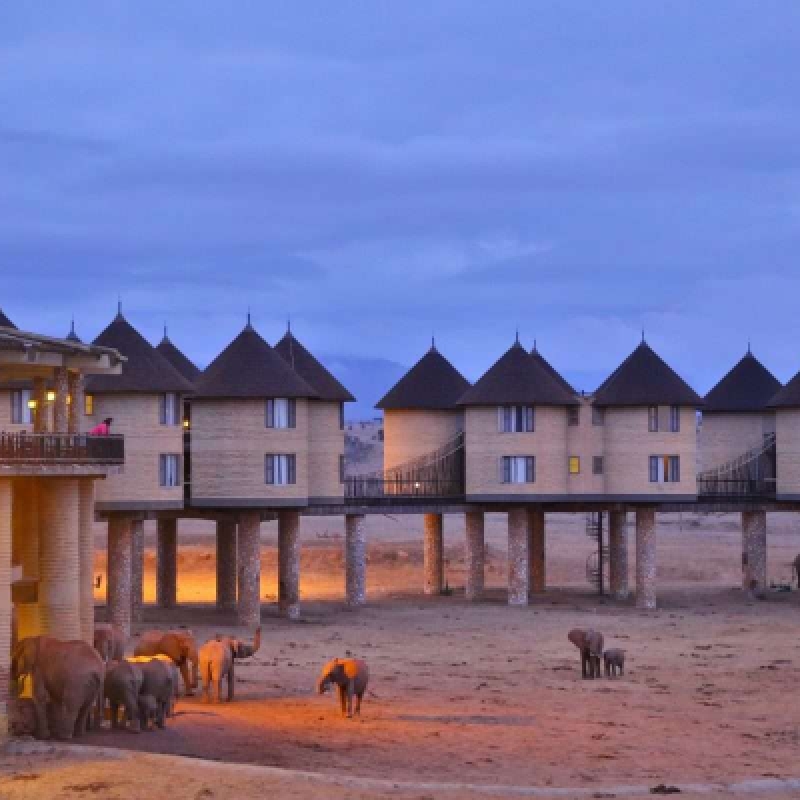 Explore Tsavo National Park by Train 2