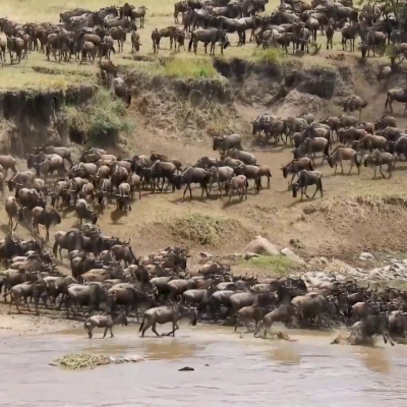 Safari Nyati - Northern Tanzania Escape 1