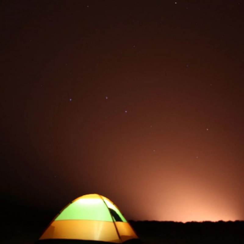 6 Days 5 nights New Year's Voyage in Karakum Caravan Turkmenistan 4