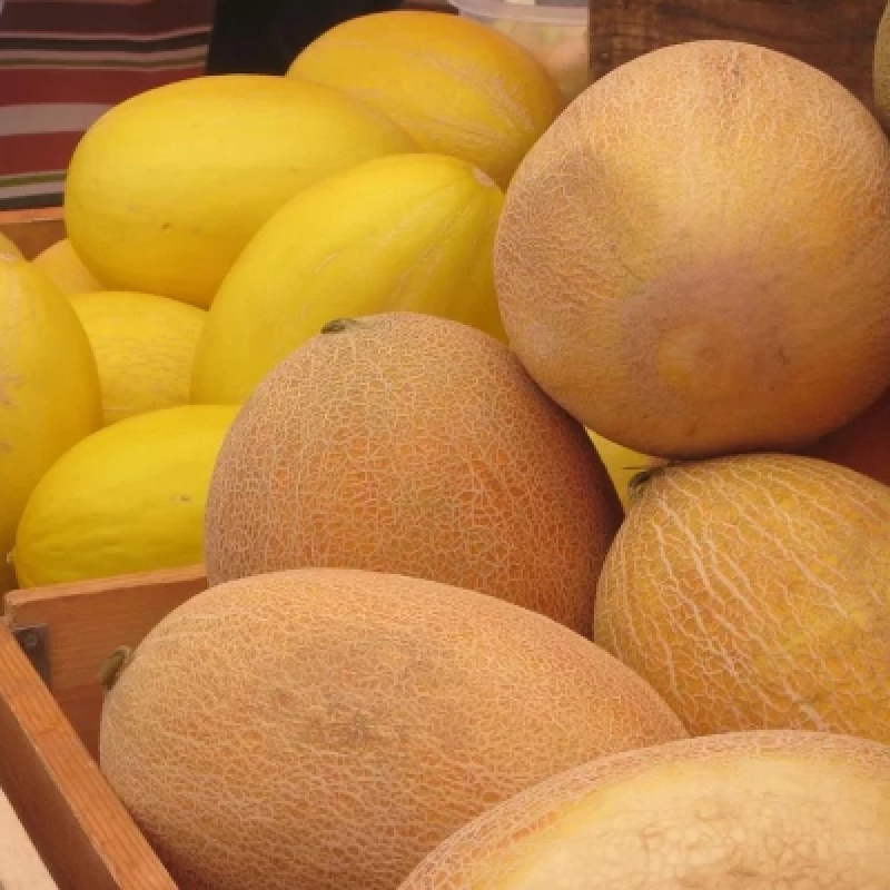 ”Melon Day” Festival tour 4 days 3 nights 1