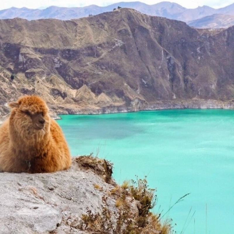 13 Days Exploring Ecuador: Highlands and Rainforest 4
