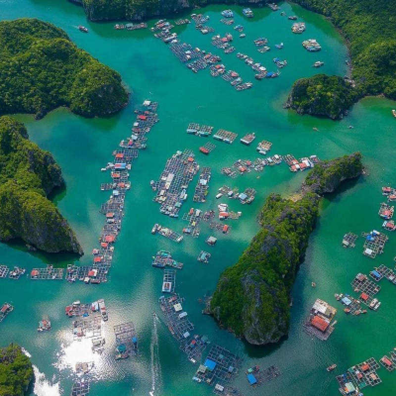 Vietnam & Cambodia Tour in 11 Days Package 4