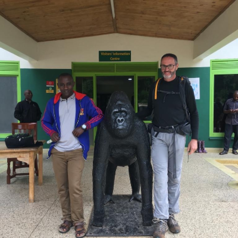 3 Days Gorilla Tracking in Uganda / Bwindi Forest 4