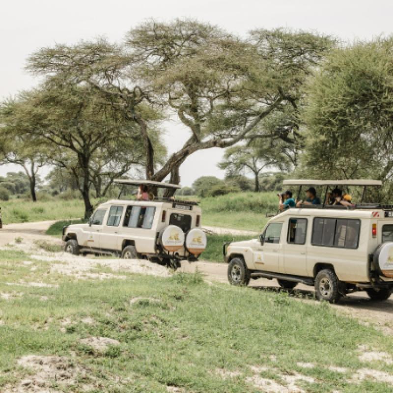 10-Day 9-Night Tanzania Comfort Safari & Zanzibar 10-Day 9-Night Tanzania Comfort Safari & Zanzibar
