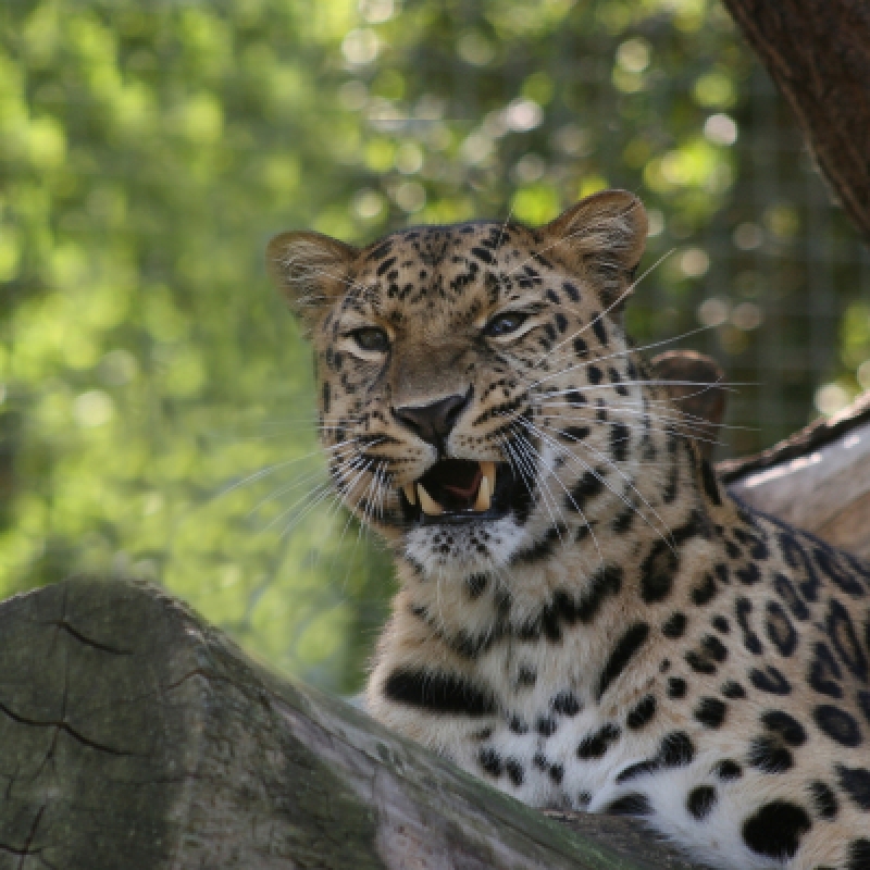07 Days of Sri Lankan Splendor with Star-Class Hotels, Dining, and Breakfast Included 3