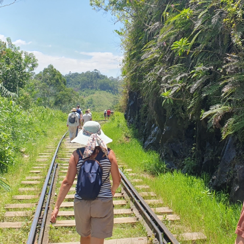 07 Days of Sri Lankan Splendor with Star-Class Hotels, Dining, and Breakfast Included 4