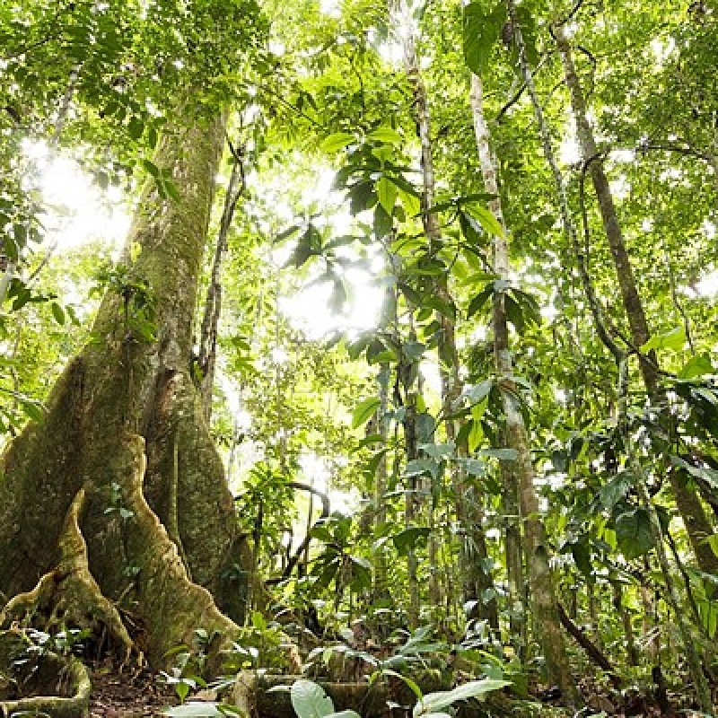 4 Days Archidona Amazon Lodge Kichwa Community 4