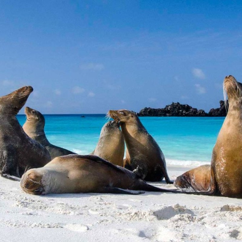 5 Days Galapagos Fascinating Nature 1
