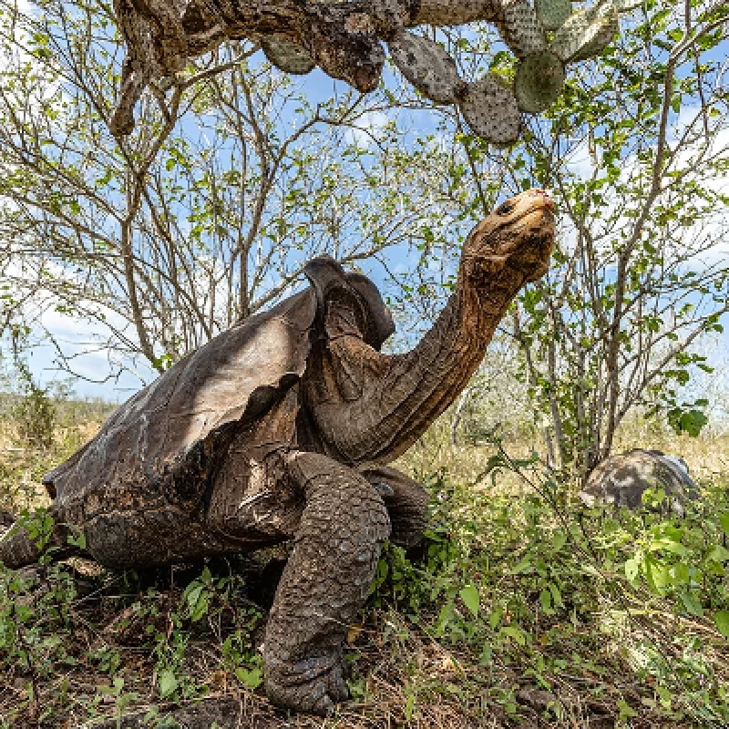 5 Days Galapagos Fascinating Nature 2
