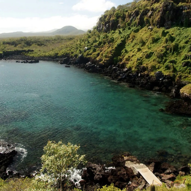 5 Days Galapagos Fascinating Nature 4