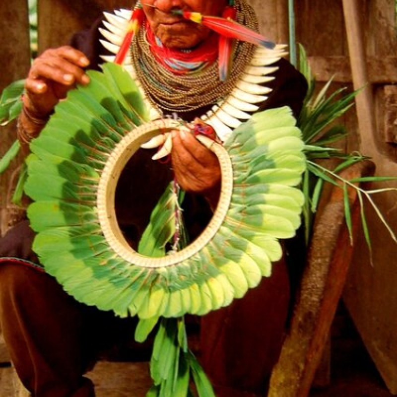 4 Days Cultural Yasuni Jungle Tour 3