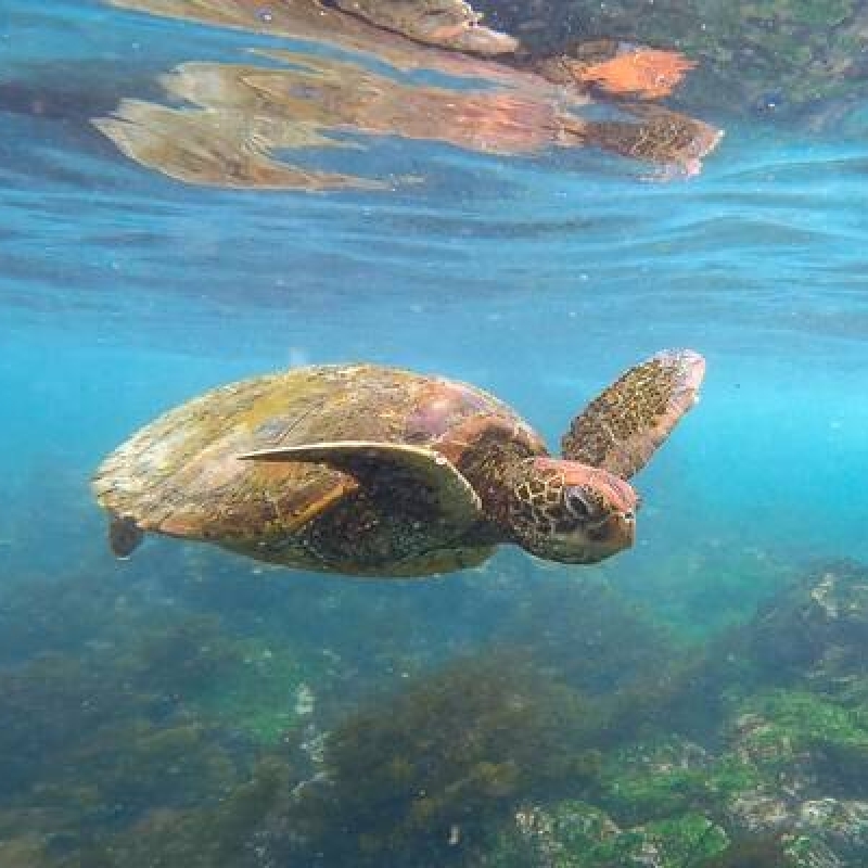 14 Days in Ecuador Highlights Amazon and Galapagos Islands 2
