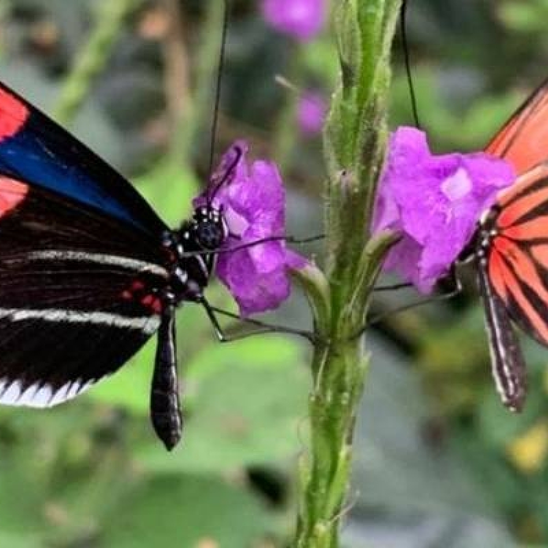 14 Days in Ecuador Highlights Amazon and Galapagos Islands 3