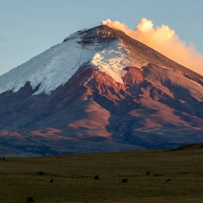 14 Days in Ecuador Highlights Amazon and Galapagos Islands 1