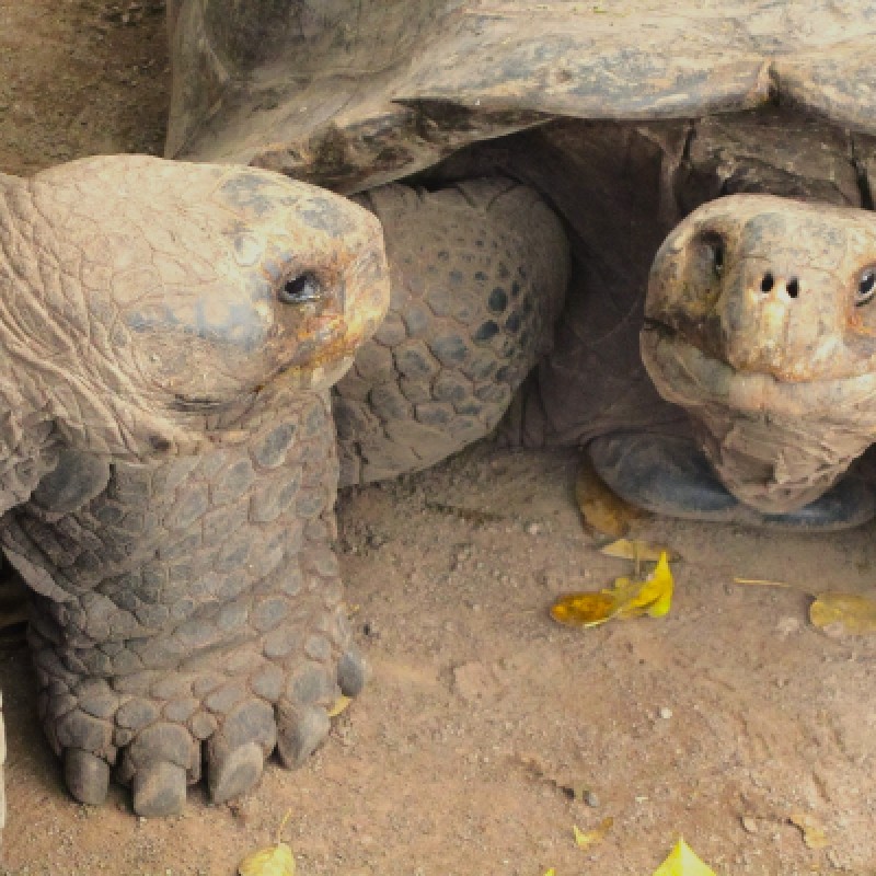 10 Days Galapagos Highlights Small Group Tour 1