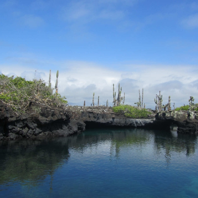 6 Days Galápagos Exploration: Nature's Wonderland Adventure 4
