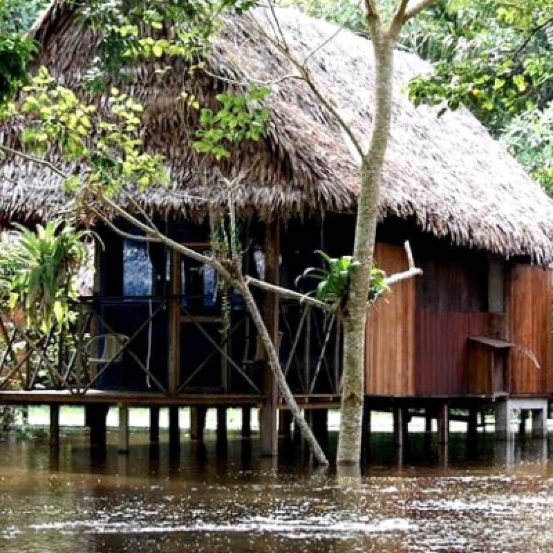 4-Day Amazon Eco-Adventure: Thrills In The Rainforest Of Iquitos 3