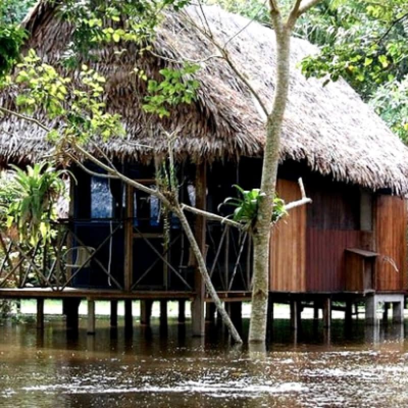4-Day Amazon Eco-Adventure: Thrills In The Rainforest Of Iquitos 3