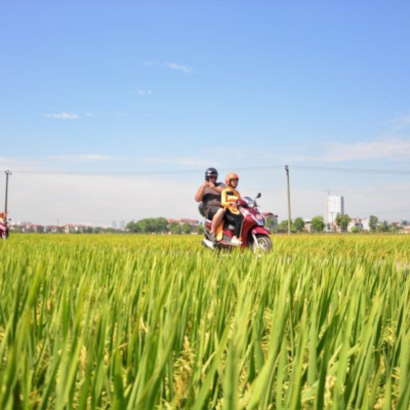 Hanoi Countryside Motorbike Half Day Morning Tour to Co Loa Citadel 3