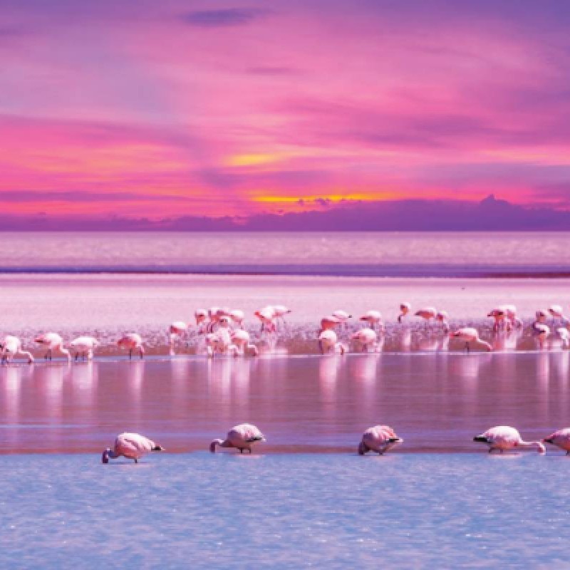 Chilean Wonders: Santiago, Atacama, and Uyuni Expedition - 12-Day Journey of Natural and Cultural Marvels 1