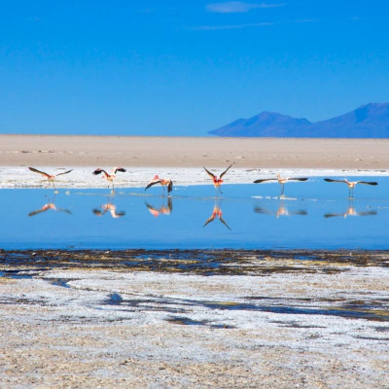 Chilean Wonders: Santiago, Atacama, and Uyuni Expedition - 12-Day Journey of Natural and Cultural Marvels 4