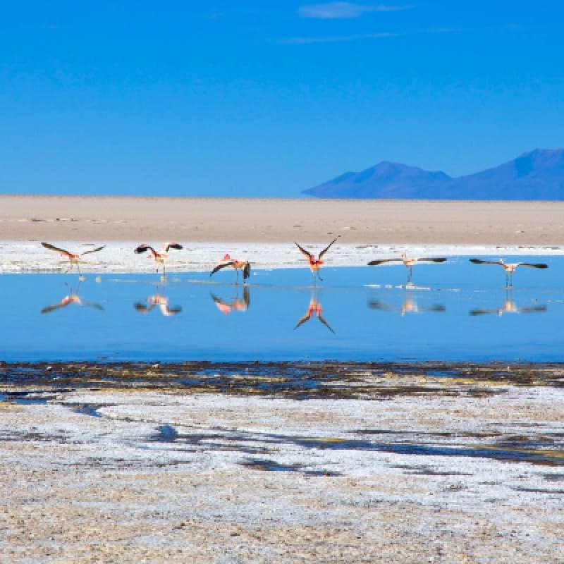 Chilean Wonders: Santiago, Atacama, and Uyuni Expedition - 12-Day Journey of Natural and Cultural Marvels 4