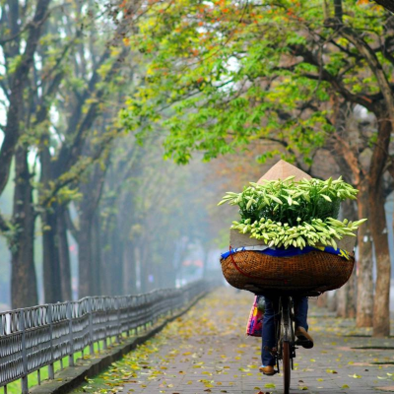 Hanoi Luxury Limousine Full-Day City Tour Historic Cultural Highlights 2