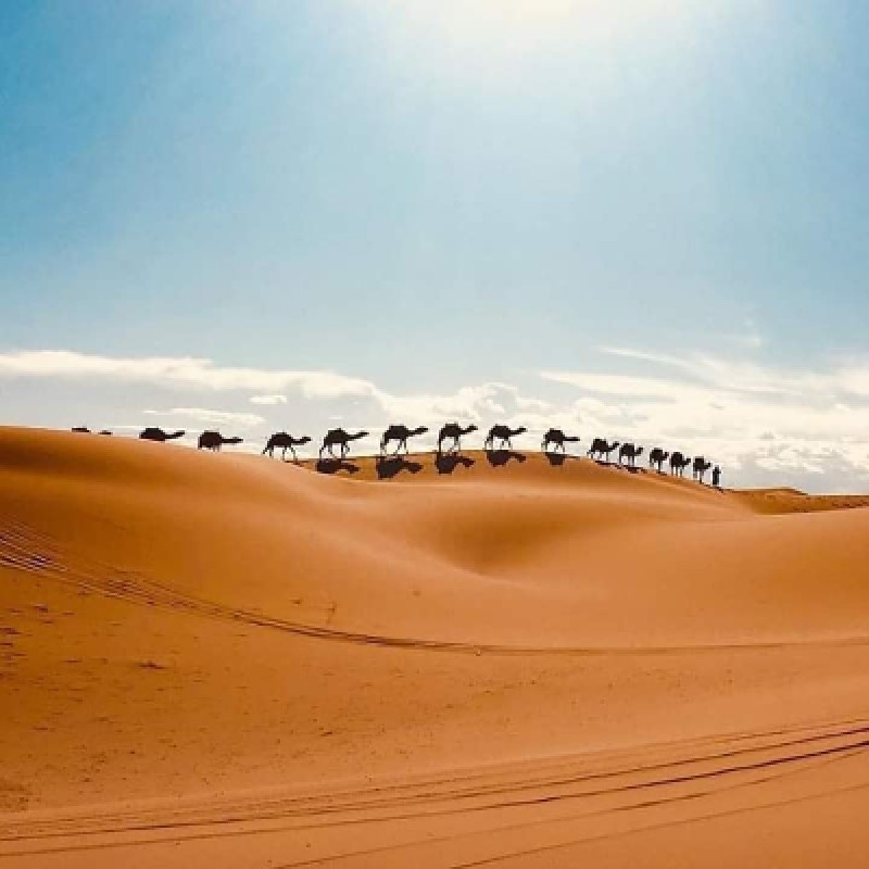 4 days Marrakech to Fes via Sahara Desert 1