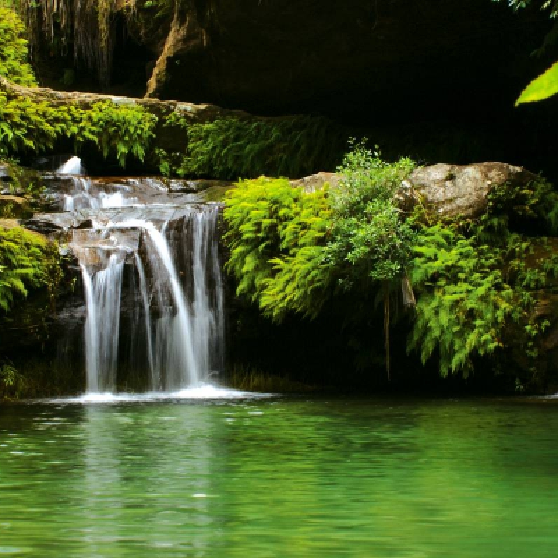 Discover the South of Madagascar and relaxation 1