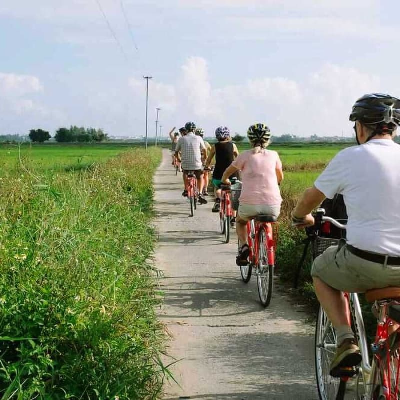 Tra Que Village Afternoon Cooking Farming Tour with Bike Ride in Hoi An 3