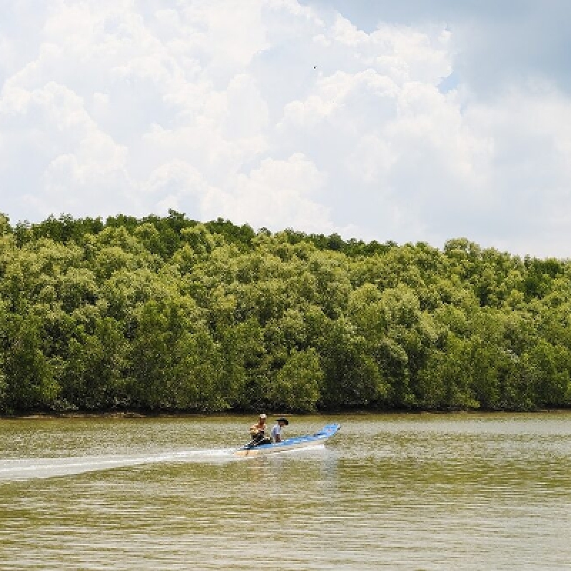 Luxury Speedboat Eco-Tour to UNESCO Can Gio Mangrove Wildlife Adventure 3