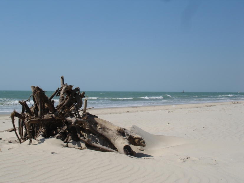 Madagascar culture and charm 3