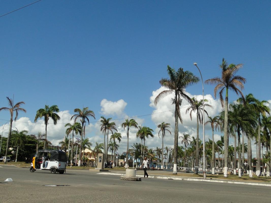 The Eastern Madagascar wonder The Eastern Madagascar wonder