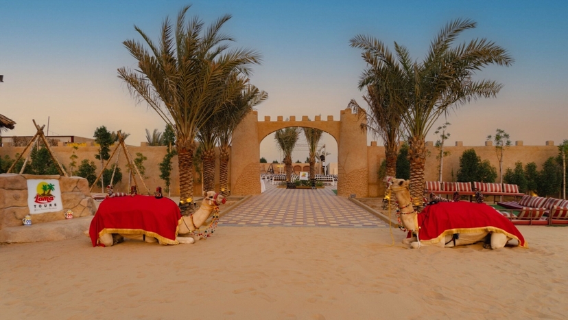 Dubai Evening Desert Safari Tour 3