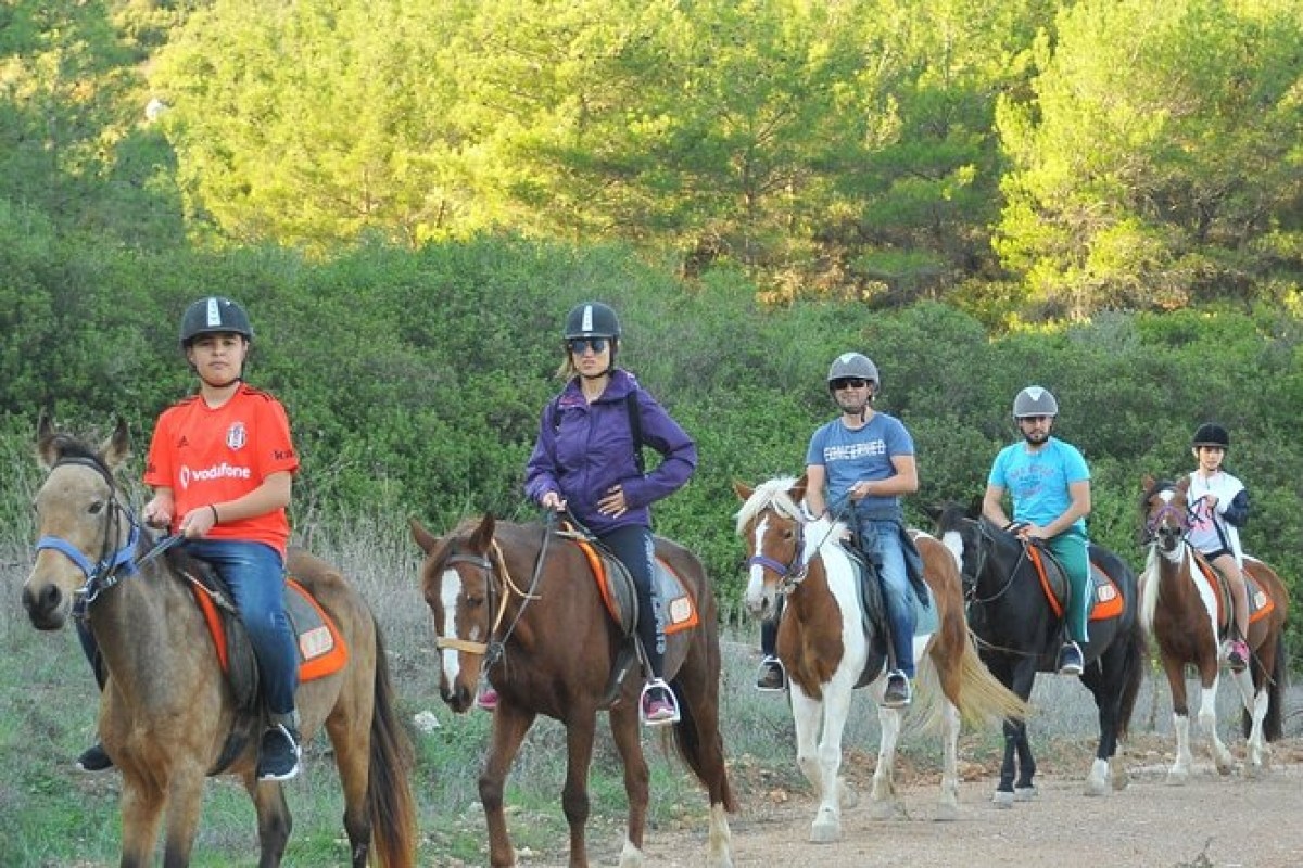 Ephesus Full-Day Tour with Horse Safari from Kusadasi Cruise Port max 10 people 1