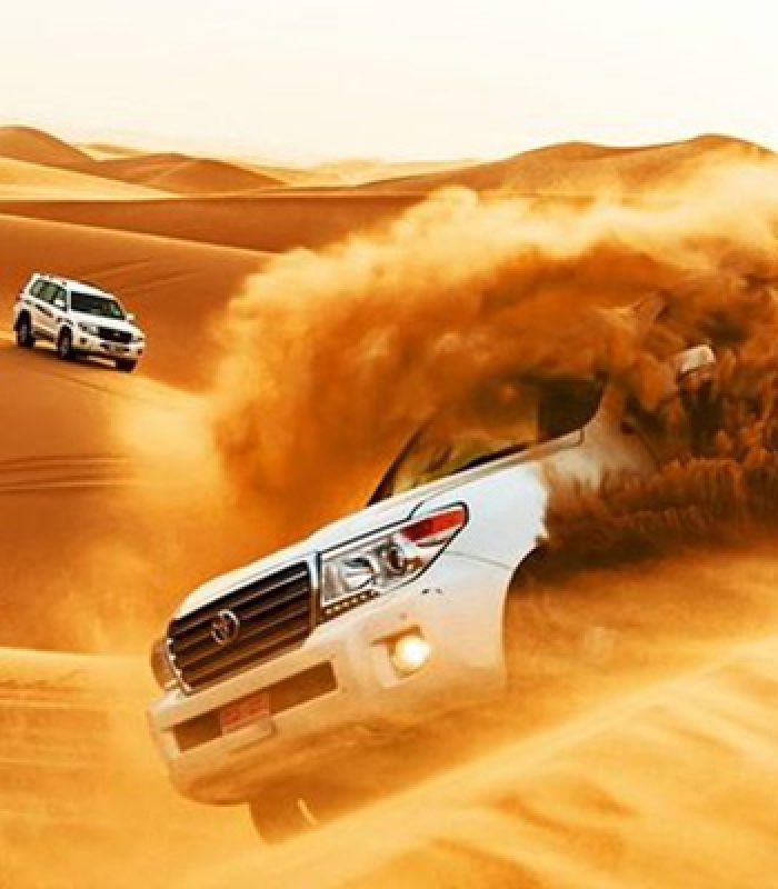 Dubai Desert Safari With BBQ Dinner 2
