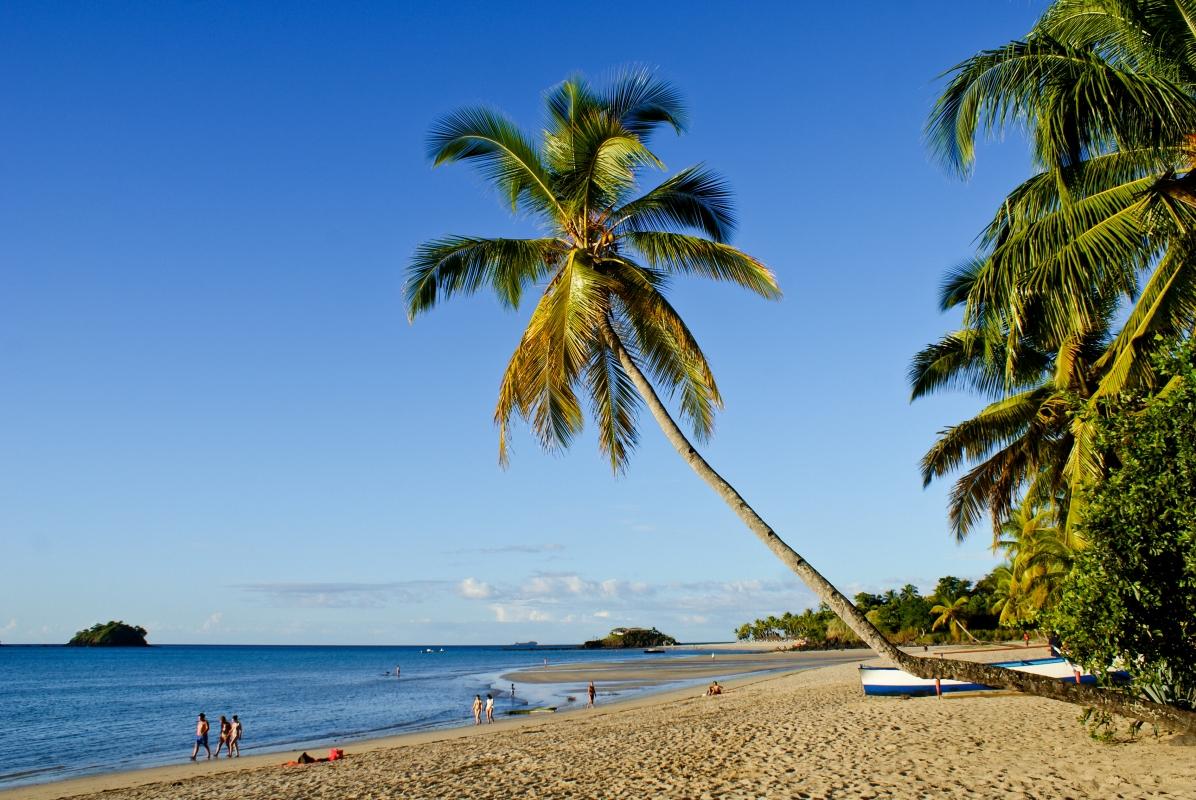 7 days to discover NOSY BE, the perfume island. 7 days to discover NOSY BE, the perfume island.