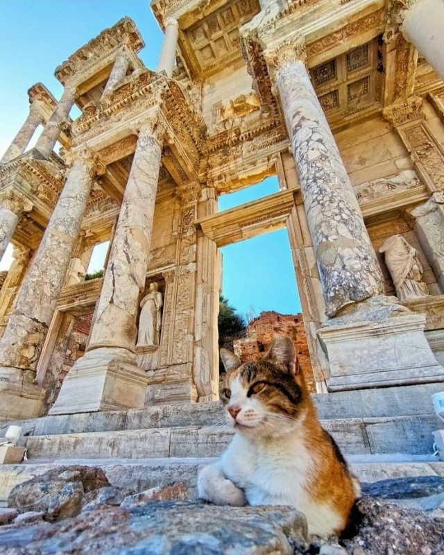 3 Days Istanbul to Ephesus Pamukkale and Didyma Tours 1