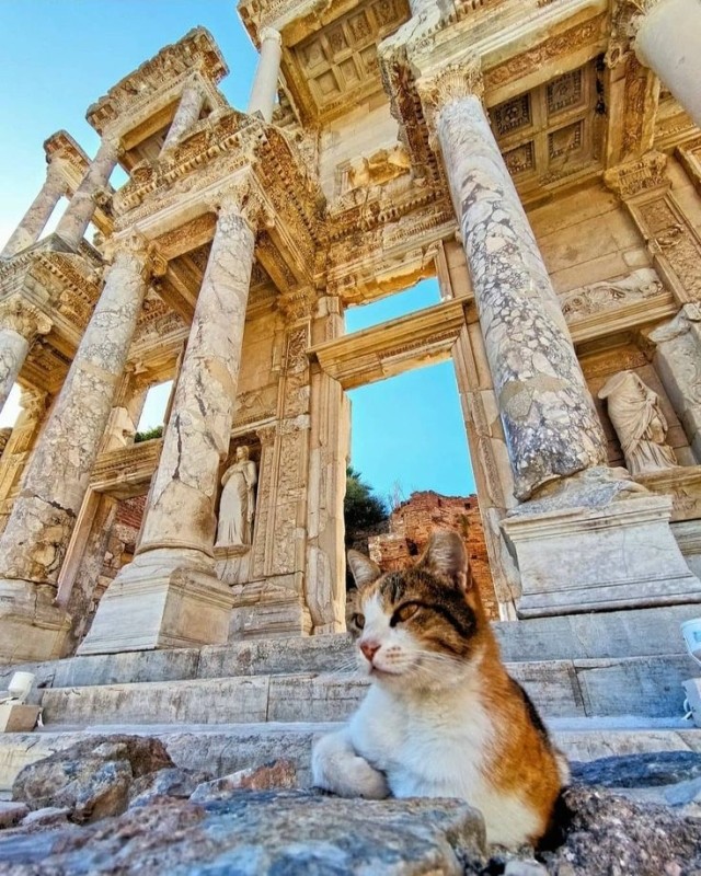 3 Days Istanbul to Ephesus Pamukkale and Didyma Tours 1
