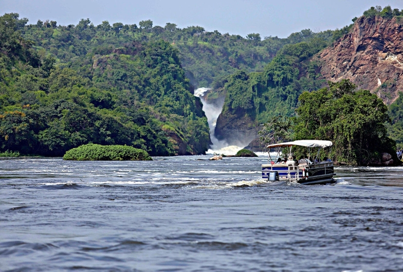 Uganda Birding Tour 7 Days Ziwa Rhino Nile Delta Murchison Falls Safari 2