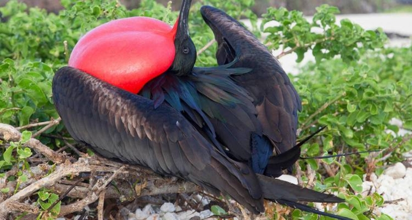 5 Days San Cristobal Island Wonders 2