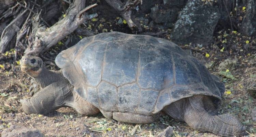 5 Days San Cristobal Island Wonders 4