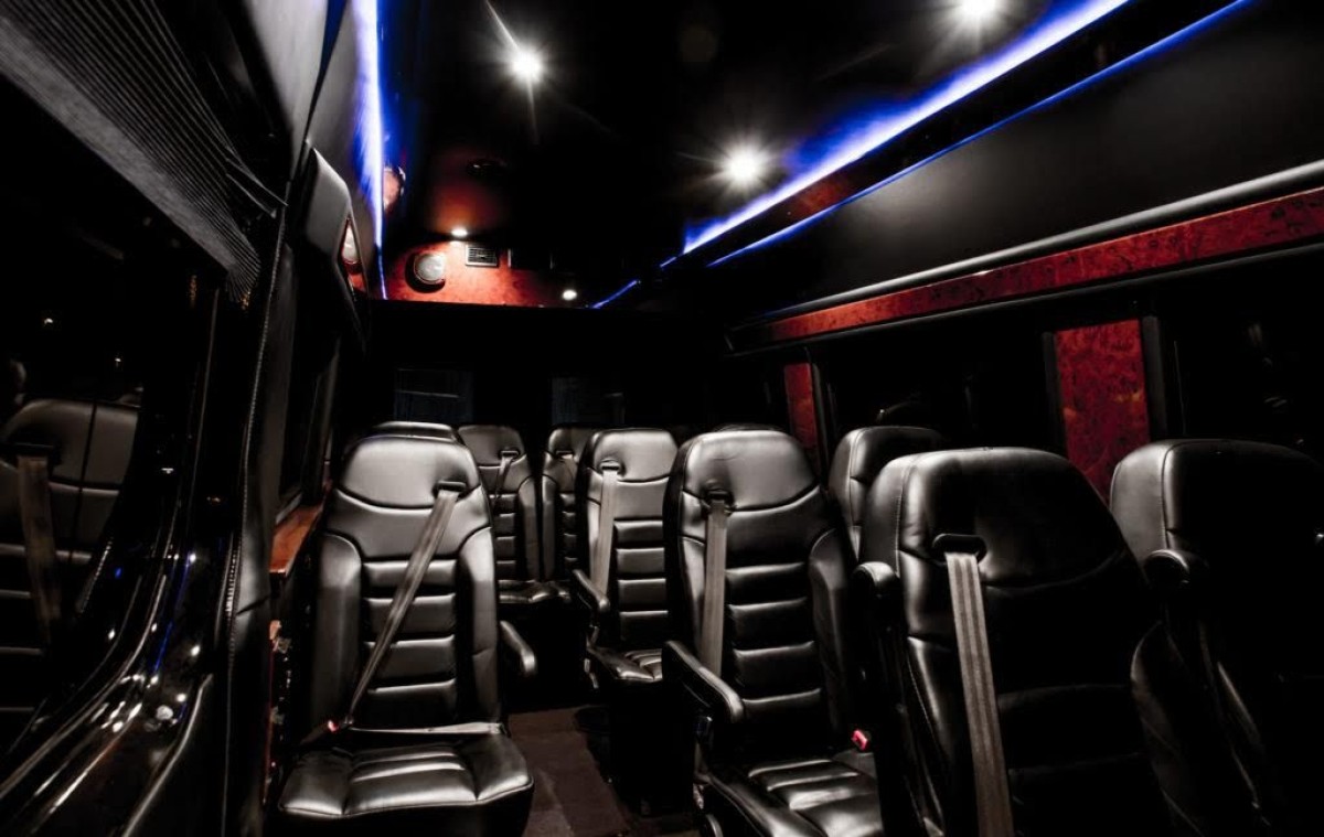 Private Tailored Sprinter Guide and Minibus Service 13+1 1