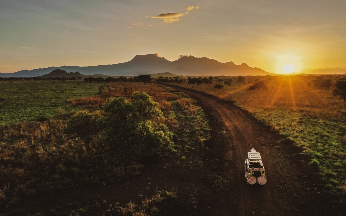 10-day Best of Primates Safari 1