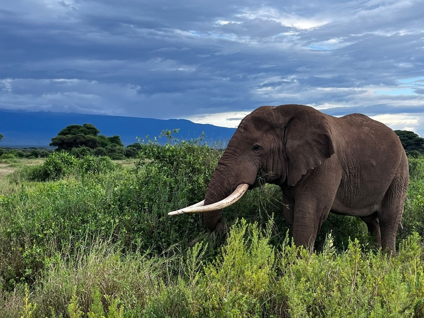 10-day Best of Primates Safari 4