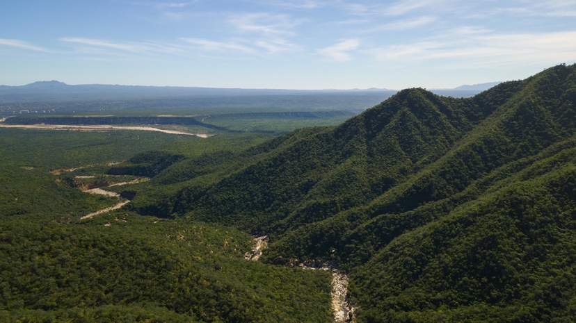 Private Guided Hiking Tour in Fox Canyon, Los Cabos 3